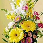 Profile Picture of avtarsinghbrar (@avtarsinghbrar26) on Instagram