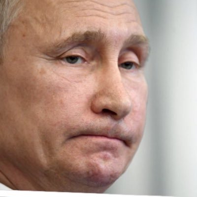 Profile Picture of Alexander Buffalo (@AlexanderBison) on Twitter