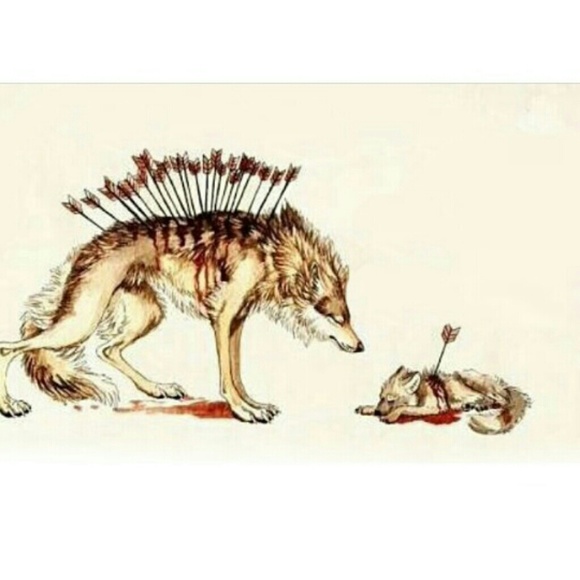 Jovany Geronimo - Poshmark Profile Picture of Jovany Geronimo (@jovany_geronimo) on Poshmark