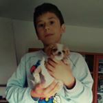 Profile Picture of Leonardo Perazzoni (@il.cacciatore.di.tordi) on Instagram