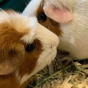 Profile Picture of Laurie Jimenez (@LaurieJimenez) on Youtube