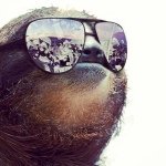 Profile Picture of Wade Bryden (@dinothor0760) on Instagram