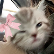 Profile Picture of Nathaly Gonzalez (@NathalyG412) on Youtube