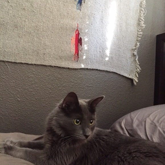 Ian Tennant - Poshmark Profile Picture of Ian Tennant (@littlejewboi) on Poshmark