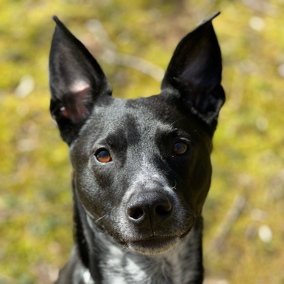 Profile Picture of Nathan Turner (@nathandt05) on Poshmark