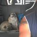 Profile Picture of Greg Goschke (@gregerton) on Pinterest