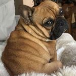 Profile Picture of Eugene Douglas Minton (@eugene_minton) on Instagram