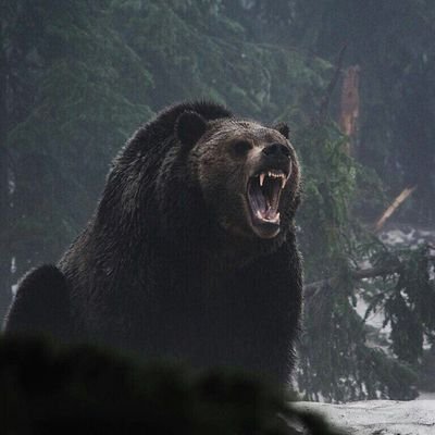 Profile Picture of Mansur (@JoeJone29341671) on Twitter