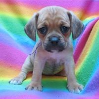 Profile Picture of Brent Fullmer (@brent-fullmer-1) on Quora