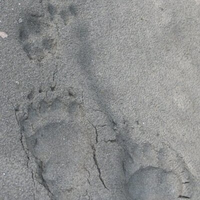 Profile Picture of James Clift (@freshwaterfan) on Twitter