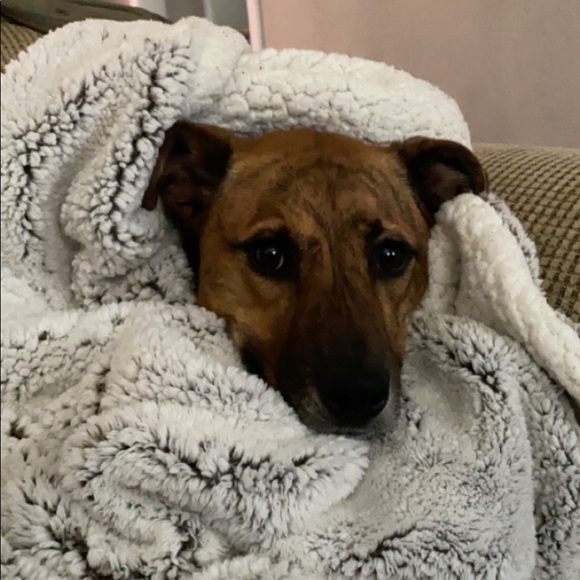 Profile Picture of Luther Grulke (@luferlad) on Poshmark