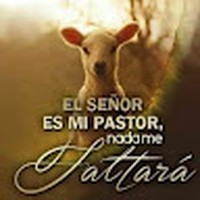 Luisa Almanzar - Quora Profile Picture of Luisa Almanzar (@luisa-almanzar-1) on Quora