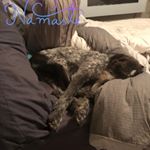 Profile Picture of Jennifer Hull (@jennifer.hull.10) on Instagram