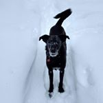 Profile Picture of Steve Shore (@steve.shore.72) on Instagram