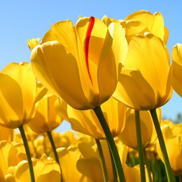 Profile Picture of Jorie Jones-prather (@joriejp76) on Poshmark