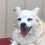 Profile Picture of Jacob Ollerman (@jawa.jacob) on Instagram