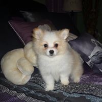 Profile Picture of Diane Lapointe (@diane-lapointe-10) on Quora