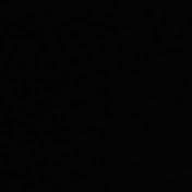 Profile Picture of Tracie Burch (@tracieburch2996) on Youtube