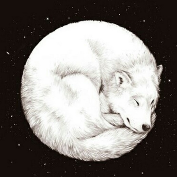 Profile Picture of Lucy Pereira (@lucyapereira25) on Poshmark