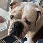 Profile Picture of Brayden Burton (@brayden_james_b) on Instagram