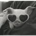 Profile Picture of Lisa Ackerman (@lisaackk) on Pinterest