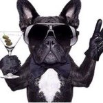 Profile Picture of Michael Arvanitis (@mikearvanitis) on Instagram