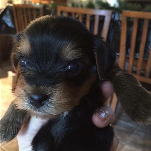 Profile Picture of Kaley Timbs (@jktimbs) on Poshmark