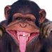 Profile Picture of Randy Bartos (@Randy-Bartos) on Facebook