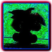 Profile Picture of Devin Carney-Hoogerhyde (@devincarney-hoogerhyde9266) on Youtube