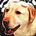 Profile Picture of Christopher Orr (@Christopher Orr) on Flickr