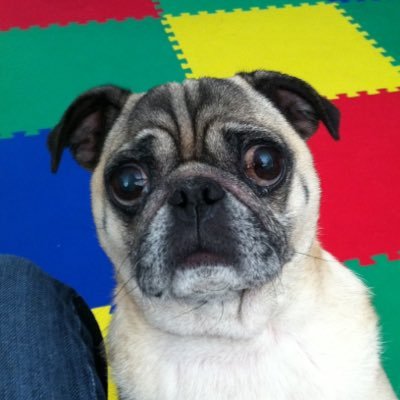 Profile Picture of Kyle Huntley (@LandmanAB) on Twitter
