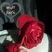 Profile Picture of Brian Alexsis Emch (@Brian-Alexsis-Emch) on Facebook