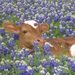 Profile Picture of McKenna Powell (@mckennabea) on Pinterest