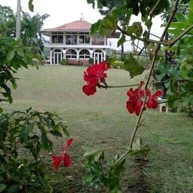 Profile Picture of Mike Mattheus (@maykolpopesku) on Twitter