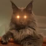 Profile Picture of Kevin Mckernan (@Kevin-Mckernan) on Facebook