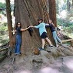 Profile Picture of Nancy Blair (@nansanfran) on Instagram