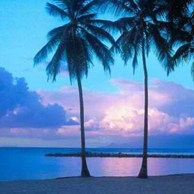 Profile Picture of Tammy Quinn (@tammyquinn61) on Twitter