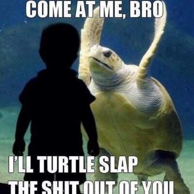 Profile Picture of Darren Cartwright (@cartwright410) on Twitter