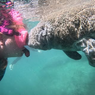 Profile Picture of Megan Pyatt (@megan.pyatt) on Instagram