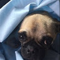 Profile Picture of Aimee Mclean (@aimee-mclean-9) on Quora