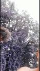 Profile Picture of   Gabriel Dragos... (@gabrieldragos8) on Tiktok