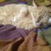 Profile Picture of Ginger Prior (@ginger.prior.37) on Facebook