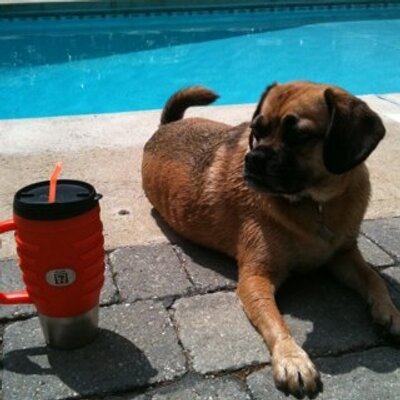 Profile Picture of Jessie Kwong (@smerbles) on Twitter