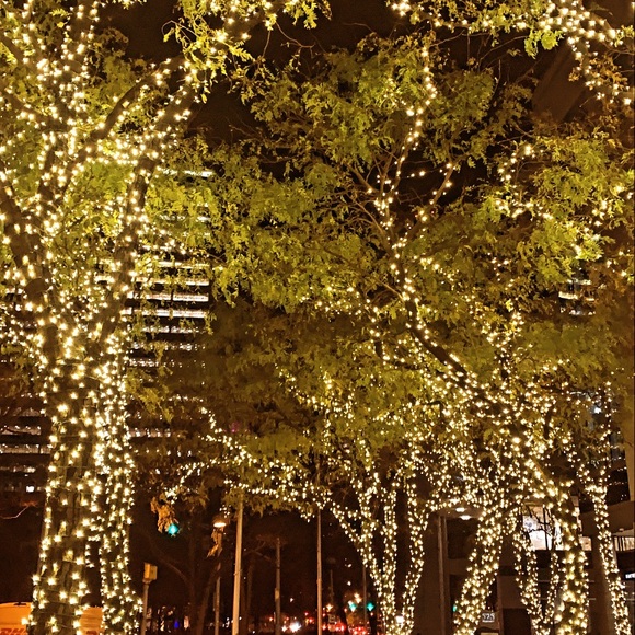 Profile Picture of Li Huang (@lh2223) on Poshmark