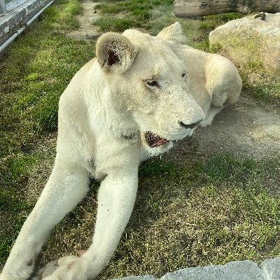 Profile Picture of Daniel Bogner (@AdyBaky) on Twitter