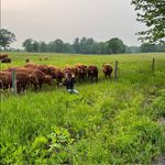 Profile Picture of Cassandra Day (@cassandraday98) on Instagram