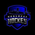 Profile Picture of Coach Andrew-Veglucci Hockey (@vegluccihockey) on Instagram