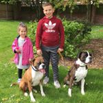 Profile Picture of JASONPAULMUNTON🥊🥊🇬🇧🐶🐶 (@jaybentleyharveyboxer) on Instagram