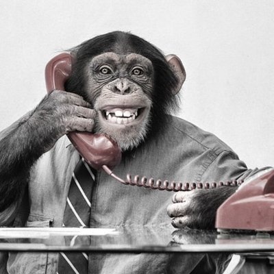 Profile Picture of John Emerson (@JohnColla) on Twitter