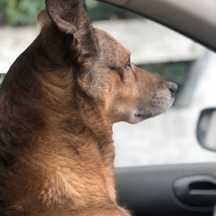Profile Picture of Coralie Fries (@coraliefries) on Tiktok